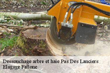 Dessouchage arbre et haie  pas-des-lanciers-13700 Elagage Fallone