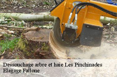 Dessouchage arbre et haie les-pinchinades-13080 Elagage Fallone