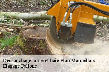Dessouchage arbre et haie  plan-marseillais-13980 Elagage Fallone