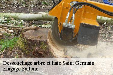 Dessouchage arbre et haie  saint-germain-13013 Elagage Fallone