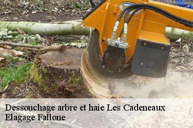 Dessouchage arbre et haie les-cadeneaux-13170 Elagage Fallone