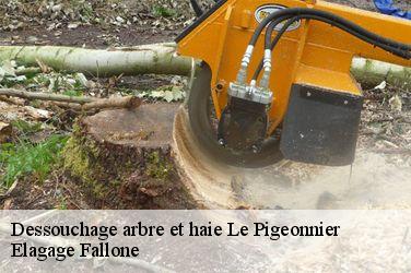 Dessouchage arbre et haie  le-pigeonnier-13740 Elagage Fallone
